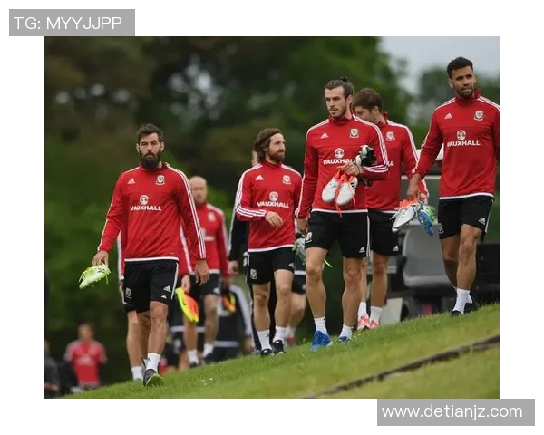 威尔士足球新星威廉姆斯崭露头角成球队核心助力国家队突破困境 威尔士足球新星威廉姆斯崭露头角成球队核心助力国家队突破困境